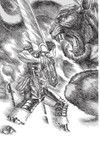 Berserk 22 - galerie 6