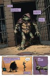 Teenage Mutant Ninja Turtles 1: Návrat do New Yorku - galerie 3