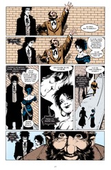 Sandman 6: Báje a odlesky I (dotisk)