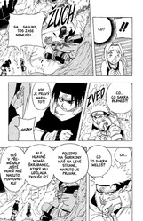 Naruto 6: Sakuřino rozhodnutí