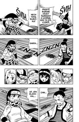 Naruto 9: Nedži versus Hinata