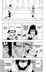 Naruto 9: Nedži versus Hinata