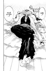 Bleach 12: Flower on the Precipice