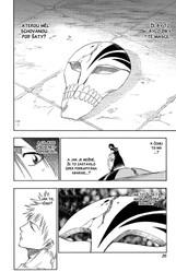 Bleach 12: Flower on the Precipice