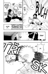 Bleach 12: Flower on the Precipice