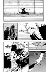 Bleach 13: The Undead