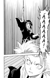 Bleach 16:  Night of Wijnruit