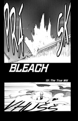 Bleach 16:  Night of Wijnruit