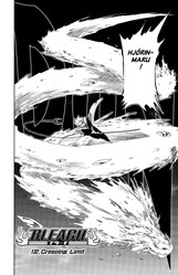 Bleach 16:  Night of Wijnruit