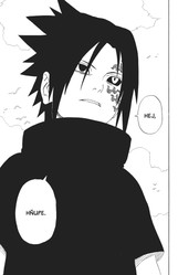 Naruto 25: Bratři