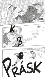 Naruto 26: Odloučení