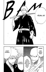 Bleach 21: Be my family or not