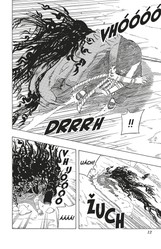 Naruto 43: Ten, který zná pravdu