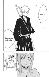 Bleach 32: Howling