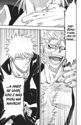 Bleach 32: Howling