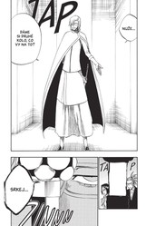 Bleach 33: The Bad Joke