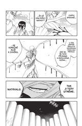 Bleach 34: King of the Kill