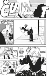 Bleach 36: Turn Back The Pendulum