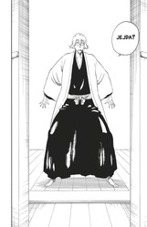 Bleach 36: Turn Back The Pendulum