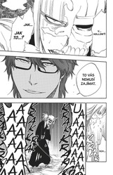 Bleach 37: Beauty Is So Solitary