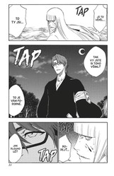 Bleach 37: Beauty Is So Solitary