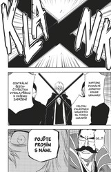 Bleach 37: Beauty Is So Solitary