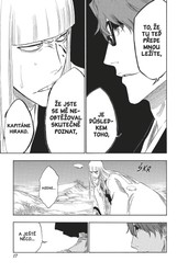 Bleach 37: Beauty Is So Solitary