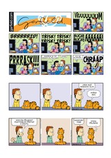 Garfield 63: Sportem ke žraní