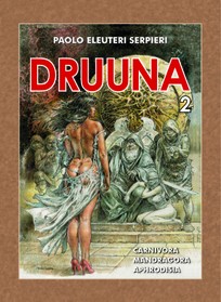 DRUUNA 2 (brož.) (Mistrovská díla evropského komiksu)