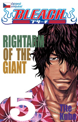 Bleach 5: Rightarm of the Giant