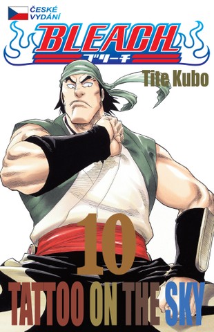 Bleach 10: Tattoo on the Sky