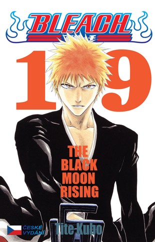 Bleach 19:  Black Moon Rising